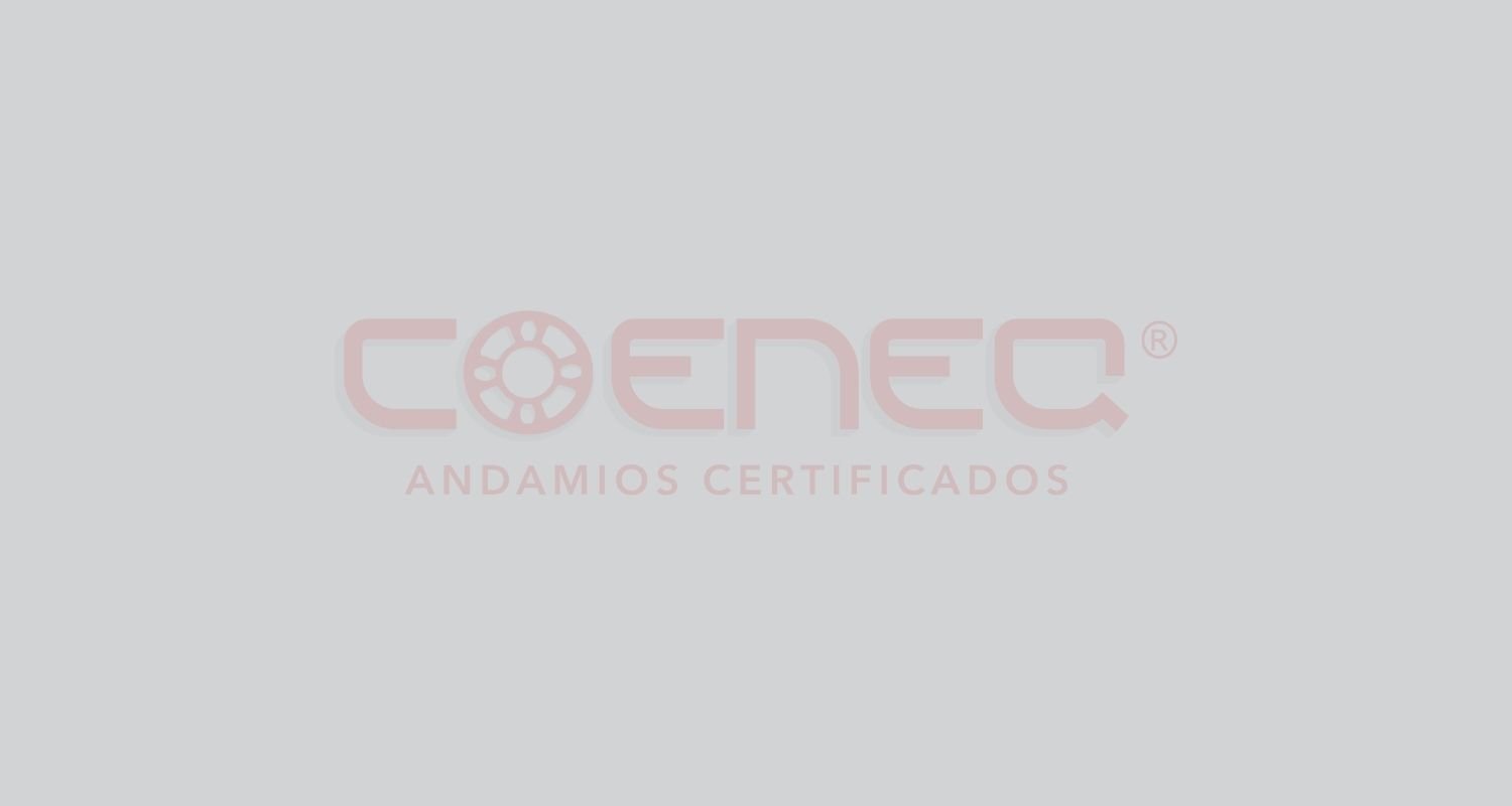 PAGINA COENEQ (12)